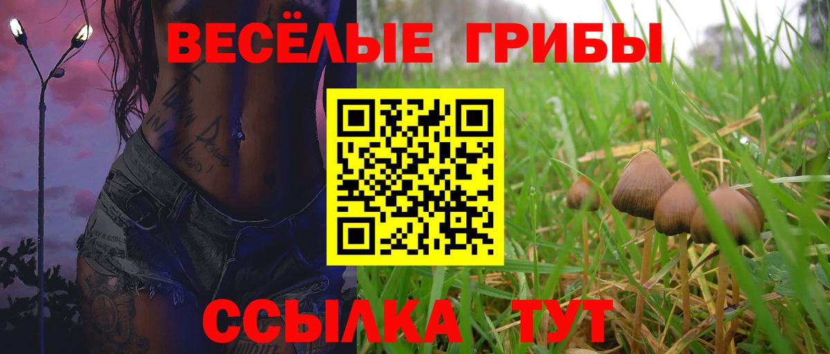 Галлюциногенные грибы MAGIC MUSHROOMS  Вход с VPN  Чебоксары  Галлюциногенные грибы прущие грибы 