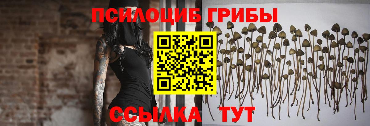 Галлюциногенные грибы ЛСД Чебоксары